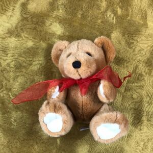 VINTAGE BEAR FIESTA 1028000